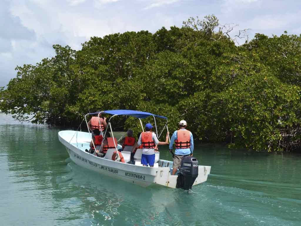 sian kaan punta allen