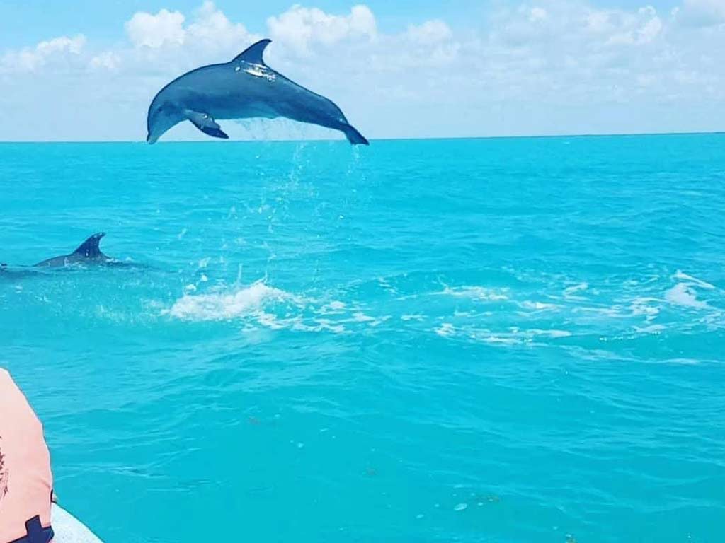 sian kaan punta allen mayan riviera tour