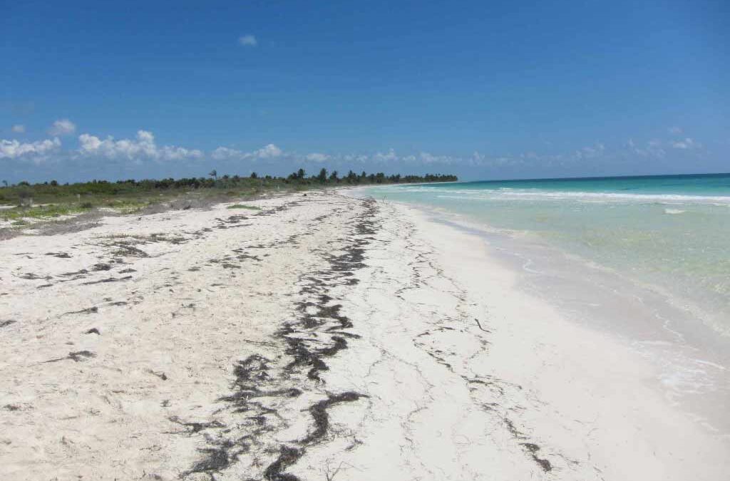 Sian kaan riviera maya